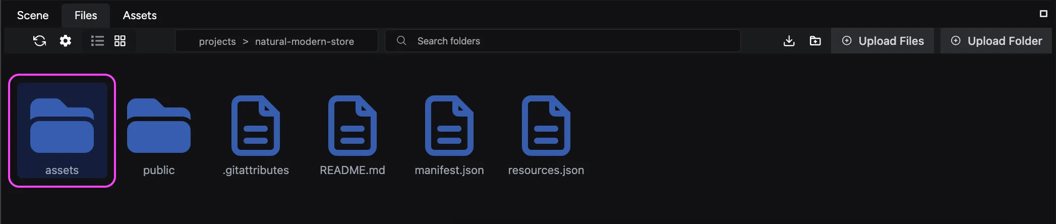 View of the assets folder